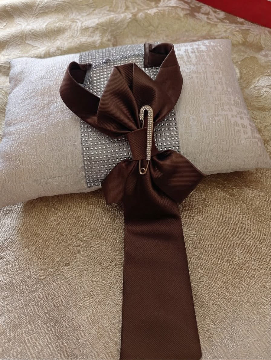 Cravatta marrone con fiocco e spilla gioiello